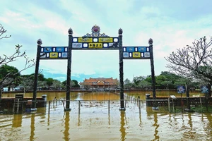 La Cité pourpre interdite de Hue a été gravement inondée lors la récente crue majeure. Photo : TPO.