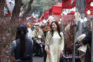 Au marché aux fleurs de Hang Luoc, le printemps se vit au rythme d’autrefois