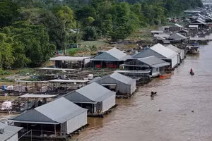 Village flottant près de l'îlot de Ông Hô, commune de My Hoa Hung, dans la province de An Giang. Photo : baoangiang.com.vn