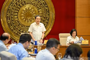 [En images] Tran Thanh Man travaille avec la permanence de la Commission de la culture et de la société de l’AN
