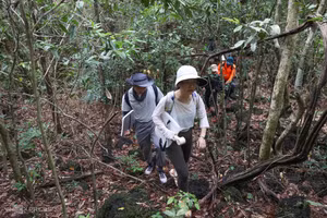À la découverte de la réserve mondiale de biosphère de Cat Tien au cœur de la jungle vietnamienne