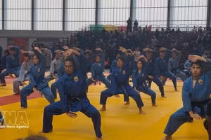 La 7ᵉ édition du Championnat du monde de Vovinam - Viet Vo Dao, organisée du 22 au 25 juillet à Paris. Photo : VNA.