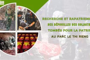 [Infographie] Recherche et rapatriement des dépouilles des soldats tombés pour la Patrie au parc Le Thi Rieng