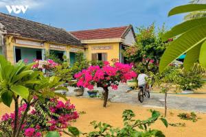 Les maisons aux toits de tuiles rouges de Lang Lo impressionnent les visiteurs. Source : VOV.