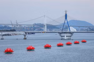 Le bouddhisme de Da Nang illumine sept lotus roses pour transmettre un message d'harmonie et de protection de l'environnement
