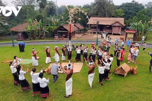 La Fête du nouveau riz des Chu Ru s'anime au cœur de Hanoi