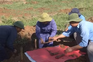 Campagne nationale de collecte d'échantillons d'ADN auprès des proches des soldats tombés et non identifiées