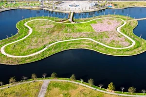 Le plus grand jardin de fleurs de sao nhái de Cà Mau attire les visiteurs à l’approche du Têt