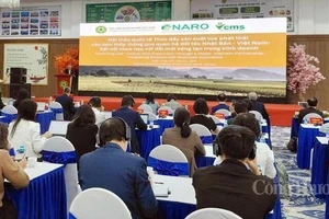 Japon-Vietnam : renforcement de la coopération pour développer la riziculture à faibles émissions