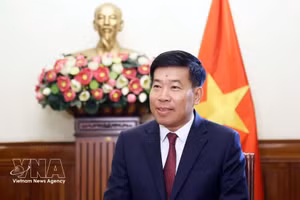 Le vice-ministre vietnamien des Affaires étrangères, Nguyen Manh Cuong. Photo : VNA.