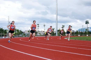 Le développement du sport professionnel repose sur l’amélioration du statut socio-économique des entraîneurs et des athlètes. Photo : VNA/CVN