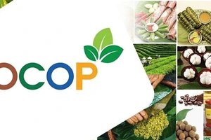 OCOP Vietnam: Un Chemin Vers la Valorisation Locale