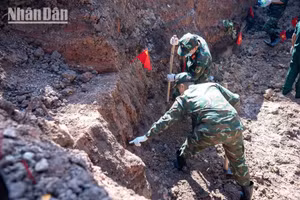 Les forces armées recherchent des restes de soldats tombés pour la Patrie dans le parc Le Thi Rieng, à Ho Chi Minh-Ville.