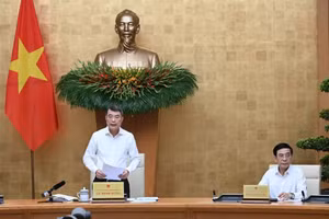 [Photos] Le Premier ministre Le Minh Hung préside la réunion mensuelle du gouvernement 