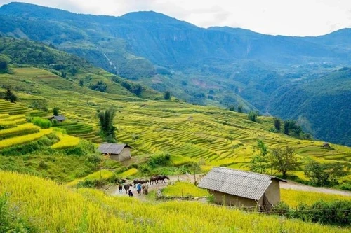 Le Vietnam parmi les 5 destinations asiatiques préférées des touristes européens à l’été 2025