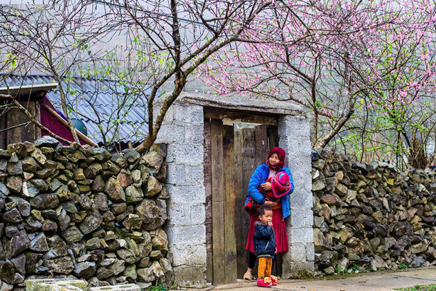 Le bonheur familial simple dans différentes régions du Vietnam ảnh 12 Le bonheur familial simple dans différentes régions du Vietnam ảnh 12