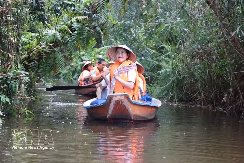 Des touristes font une promenade en barque pour découvrir la réserve écologique de Dong Thap Muoi, dans la commune de Tan Phuoc 2, province de Dong Thap. Photo : VNA.