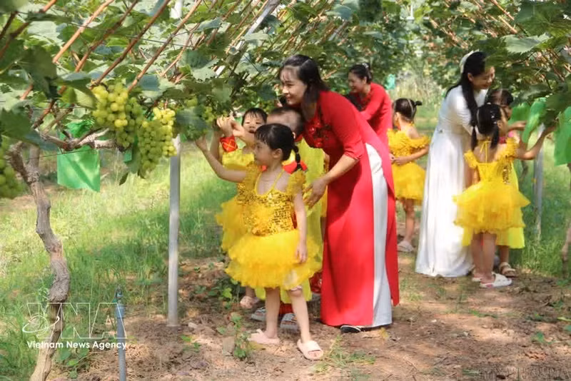 Les femmes vietnamiennes jouent un rôle essentiel dans le développement économique, le maintien des valeurs culturelles, familiales et sociales. Photo : VNA
