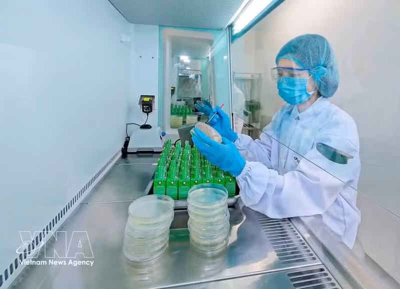 Nestlé Bông Sen (Hung Yên) applique les technologies numériques au service d’une production verte. Photo : VNA.