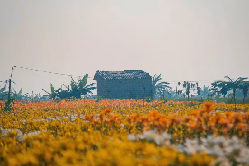 8-11zon.jpg