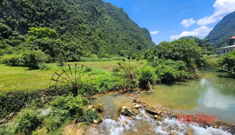es roues à eau installées le long des rivières et des ruisseaux se fondent dans les paysages de montagnes, de rizières et de villages, apportant une touche caractéristique au paysage du Géoparc mondial UNESCO Non Nuoc Cao Bang. Photo : baocaobang