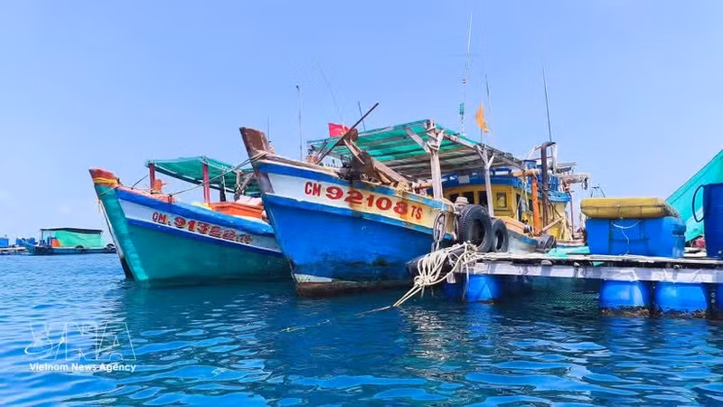 https://fr.vietnamplus.vn/inn-ca-mau-renforce-la-gestion-des-navires-pour-lever-le-carton-jaune-de-la-ce-post262836.vnp