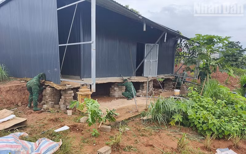 Des cadres et soldats des gardes-frontières de Son La aident les habitants à réparer leur maison endommagée par un glissement de terrain dans le village de Bo Sap. (Photo : Quang Hung)