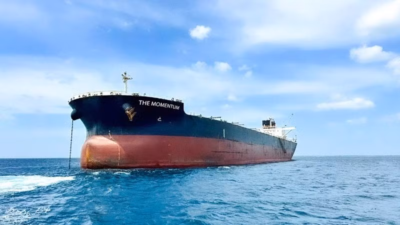 Le navire Momentum de fret de 110 000 tonnes.