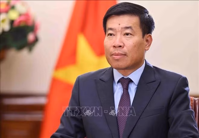 Le vice-ministre des Affaires étrangères Nguyen Manh Cuong. Photo : VNA.