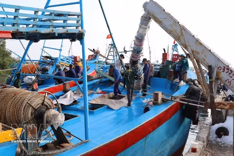 Dans la province de Dong Thap, les bateaux de pêche stockent de la glace dans leurs cale sèches afin de conserver les produits de la mer lors de leurs sorties en mer. Photo : VNA.