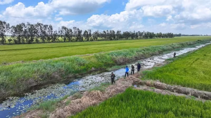 Le Comité directeur 515 de la province d’An Giang mène des opérations de reconnaissance et de collecte d’informations afin de déterminer l’emplacement des tombes de soldats tombés pour la Patrie dans la zone de Tram Du (Rung Tram 800), hameau de Lung Lon, commune de Hoa Dien, province d’An Giang. Photo : Phuong Vu.