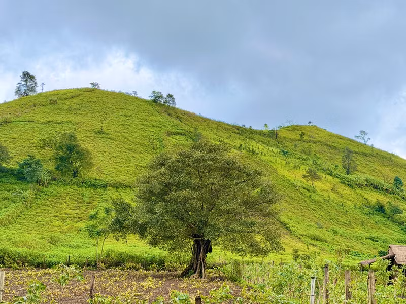 En saison des pluies, la végétation luxuriante recouvre les espaces au pied du volcan Chu Dang Ya. Photo : Minh Chi