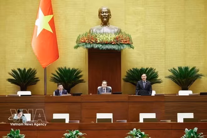 Le vice-président de l'Assemblée nationale Nguyên Khac Dinh s'exprime. Photo: VNA