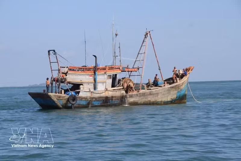 Le système VMS et les données de VNFishbase sont exploités et surveillés en permanence, 24 heures sur 24, afin de détecter et d'alerter rapidement les cas présentant des signes de violation des frontières maritimes. Photo : VNA