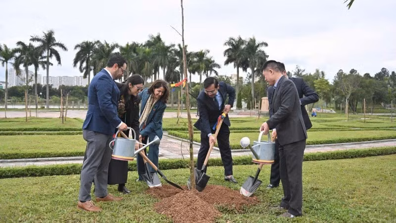 Les délégués plantent des arbres saman au parc Hoa Binh. Photo : Ambassade de Colombie au Vietnam.