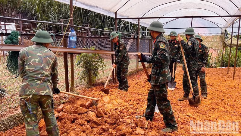 La zone où a été découverte la tombe d’un soldat tombé pour la Patrie dont l’identité n’a pas encore été établie, dans le groupe résidentiel de Sao Nam, quartier de Xuan Truong-Da Lat. (Photo : Dam Trong)