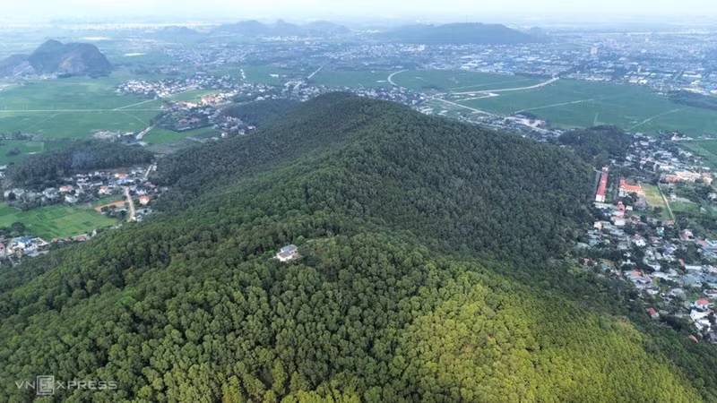 Forêt de pins à Thanh Hoa, mars 2024. Photo : Le Hoang.