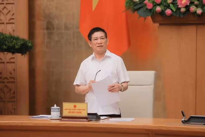 Le vice-Premier ministre Ho Duc Phoc s'exprime lors de la réunion. Photo : VNA