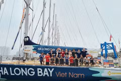 La baie de Ha Long s’apprête à devenir le théâtre d'un impressionnant ballet nautique. Pour l'occasion, 12 équipes et 48 skippers s'y rassemblent, fédérant autour d'une même passion les loups de mer de la première heure comme les simples curieux. Photo : halongport.vn