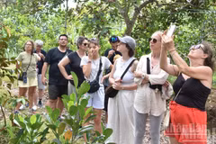 Des touristes étrangers visitent un verger sur l’îlot de Tan Phong dans la commune de Hiep Duc, province de Dong Thap. Photo : NDEL.