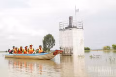 Des patrouilles et des inspections sont menées pour prévenir et lutter contre les individus qui utilisent des chocs électriques pour capturer des produits aquatiques. Photo : NDEL.