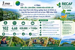 On estime que 420 000 personnes bénéficieront directement du projet RECAF et plus d'un million indirectement. Photo : thoidai.com.vn