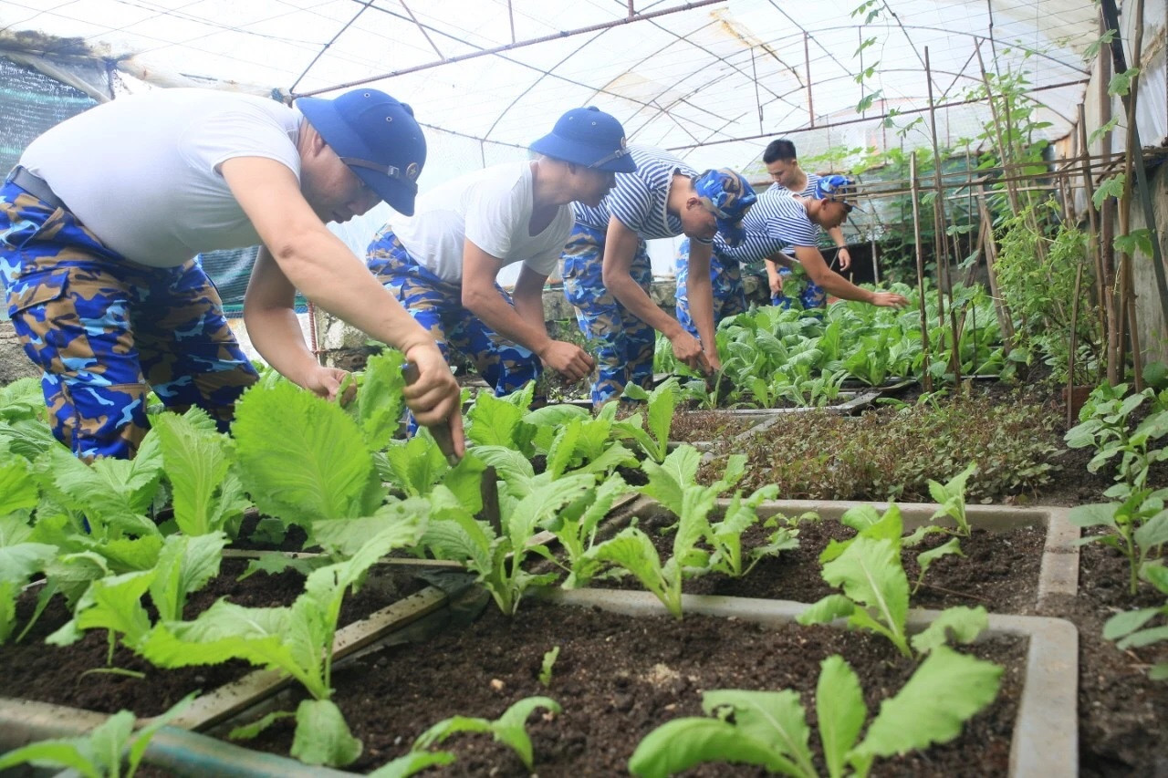Les soldats de Truong Sa s’occupent du jardin de légumes. Les soldats de Truong Sa s’occupent du jardin de légumes.