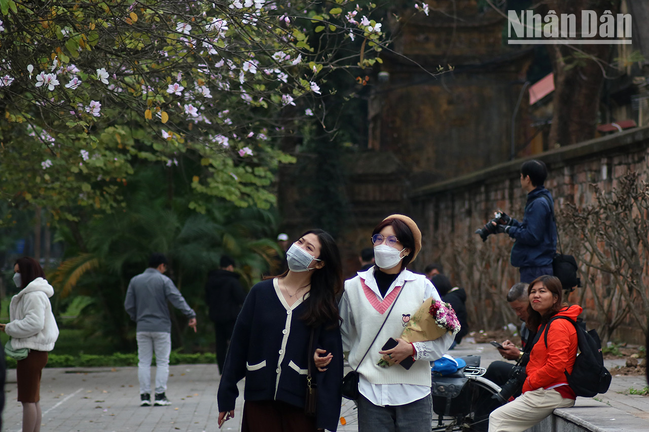 Ici se trouve une zone piétonne qui attire de nombreux photographes et habitants à l’arrivée du printemps.