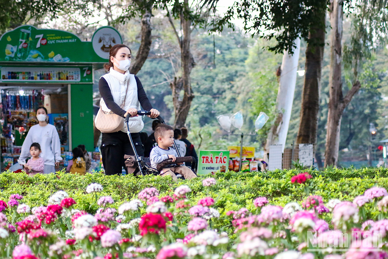 Hanoï : le parc zoologique de Thu Lê et ses particularités ảnh 13 Hanoï : le parc zoologique de Thu Lê et ses particularités ảnh 13