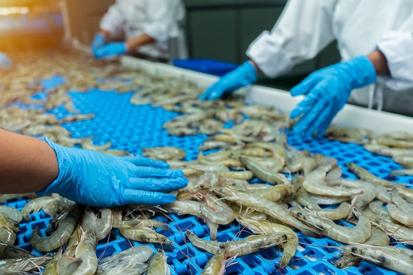 Les grands marchés comme l’UE, les États-Unis ou le Japon exigent des normes strictes en sécurité alimentaire, durabilité et environnement. Photo : Tepbac. Les grands marchés comme l’UE, les États-Unis ou le Japon exigent des normes strictes en sécurité alimentaire, durabilité et environnement. Photo : Tepbac.