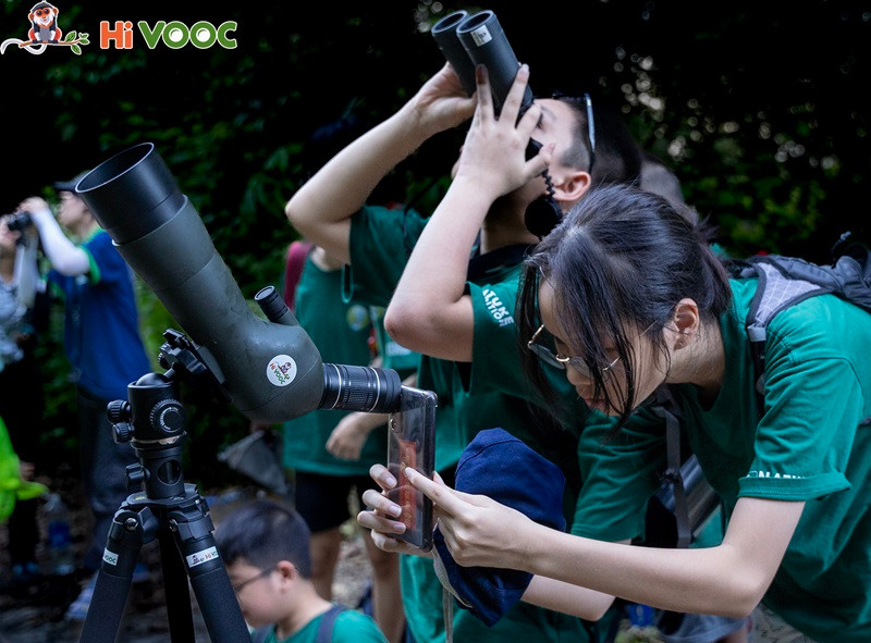 Le programme « Douc, où allons-nous ? » à Son Tra. Photo : HiVooc. Le programme « Douc, où allons-nous ? » à Son Tra. Photo : HiVooc.