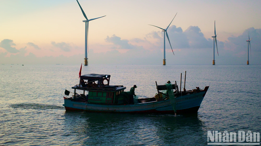 Les bateaux s’élancent vers la mer dès les premières lueurs du jour, dessinant un paysage marin d’une beauté saisissante, digne d’une toile de maître. Photo : Nhân Dân. Les bateaux s’élancent vers la mer dès les premières lueurs du jour, dessinant un paysage marin d’une beauté saisissante, digne d’une toile de maître. Photo : Nhân Dân.