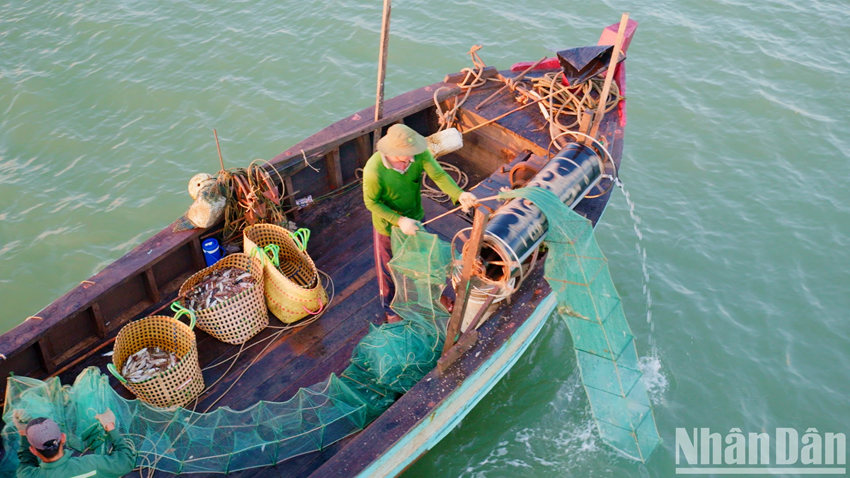 Au retour des bateaux, chargés à ras bord de produits marins frais et abondants, se mêlent la joie, la pérennité des traditions ancestrales et la vitalité même des foyers des pêcheurs. Photo : Nhân Dân. Au retour des bateaux, chargés à ras bord de produits marins frais et abondants, se mêlent la joie, la pérennité des traditions ancestrales et la vitalité même des foyers des pêcheurs. Photo : Nhân Dân.