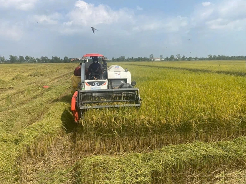 Le delta du Mékong s'efforce d'attirer des investissements et d'appliquer les technologies de la transition numérique et de la transition verte. Photo : VOV. Le delta du Mékong s'efforce d'attirer des investissements et d'appliquer les technologies de la transition numérique et de la transition verte. Photo : VOV.